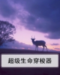 任生命穿梭时间的角落
