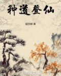 登仙道百科