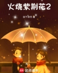火烧紫荆花1