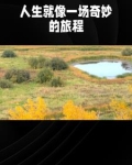 言情故事会小说