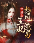 穿越后是王妃的小说