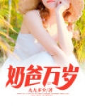 奶爸小说免费阅读