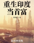 重生印度当首富笔趣阁