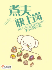 《煮夫》作者:颇愚