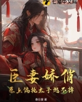 臣妻轻佻的玄子txt