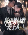 被绝美总裁宠上天小说