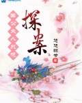 国公夫人只想探案小说