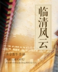 临清风力