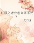 红楼之攻略