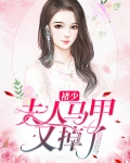 褚少,夫人马甲又掉了小说
