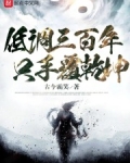 低调三百年,只手覆乾坤 TXT下载