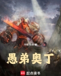 愚弟奥丁小说