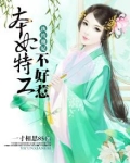 纨绔傻妃本妃特工不好惹