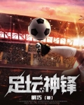 足坛神锋小说免费阅读