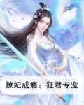 撩妃成瘾邪王轻点宠