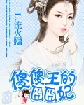 傻王盲妃全文免费阅读