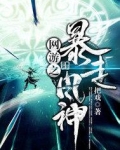 网游之暴走盾战