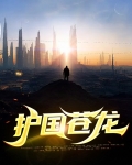 护国龙战