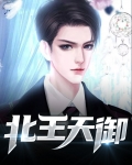 北王天御 小说