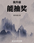 我升级能抽奖txt