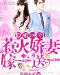 惹婚成隐