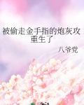 被偷走金手指的炮灰攻重生了作者: 八爷党免费阅读