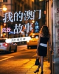 我的澳门风云故事梗概