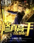 修真高手在都市小说