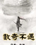 数奇不偶是什么意思