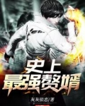 史上最强赘婿大结局