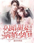闪婚甜妻的病娇少官很凶