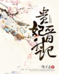 贵妃晋升记 明月下载
