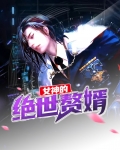 女神的绝世赘婿全文免费阅读