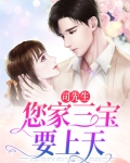 司先生陶宝小说