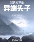 我真的不是异端头子