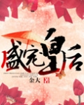盛宠皇后