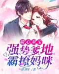 暖心双宝强势爹地霸擦妈咪