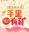 重生年代之手里有矿