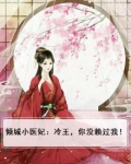 冷王霸宠:倾世小医妃 小说