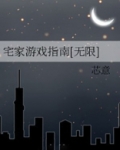 宅家游戏指南无限芯意免费阅读