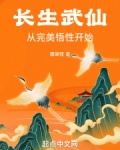 长生武仙从完美悟性开始