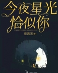 今夜星光恰似你