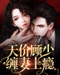 顾少的天价妻子