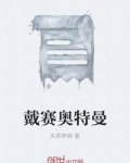 戴拿奥特曼vs赛罗奥特曼