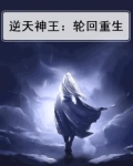逆天神王:轮回重生小说