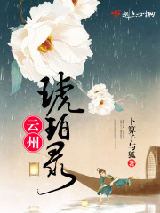 琥珀云台