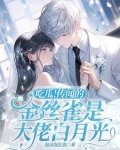 冰山总裁竟是宠妻狂魔