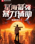 星海最强暴力辅助