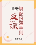 反派男配扮演守则小说