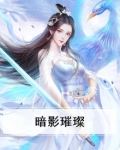 暗影璀璨